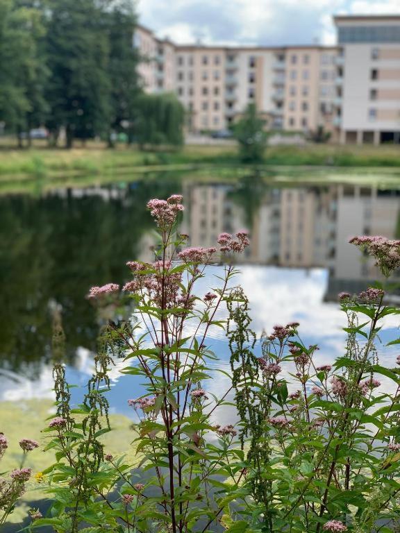 Europa22 Apartament "Sen Jak W Pieciogwiazdkowym Hotelu" - Centrum Miasta Tomaszów Mazowiecki Eksteriør billede